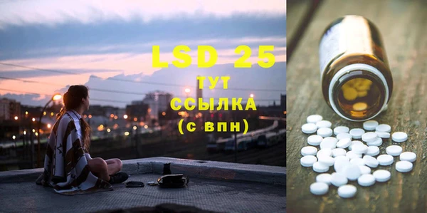 стаф Вяземский