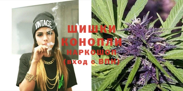 стаф Вяземский