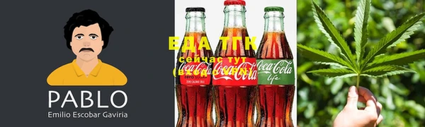 стаф Вяземский