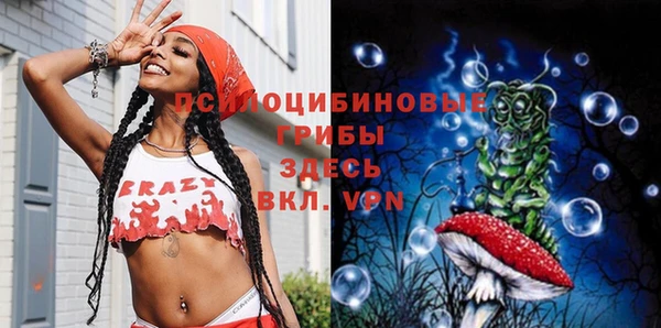 стаф Вяземский