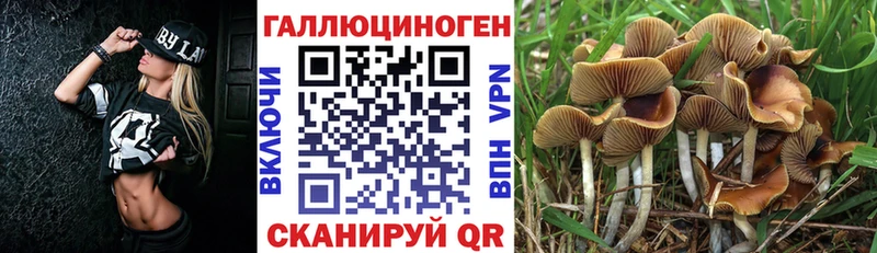 Псилоцибиновые грибы GOLDEN TEACHER  Липецк 
