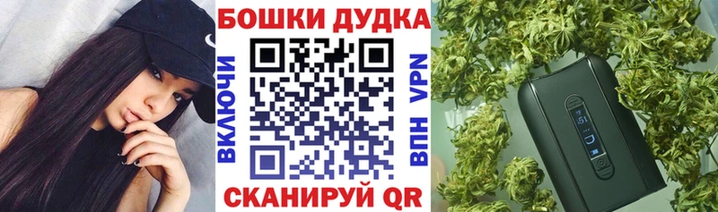 darknet какой сайт  Липецк  Бошки марихуана OG Kush  где продают  